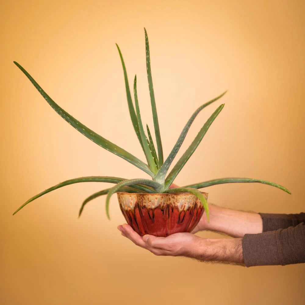 Medium 56 oz. Flower Shaped Ceramic Bowl