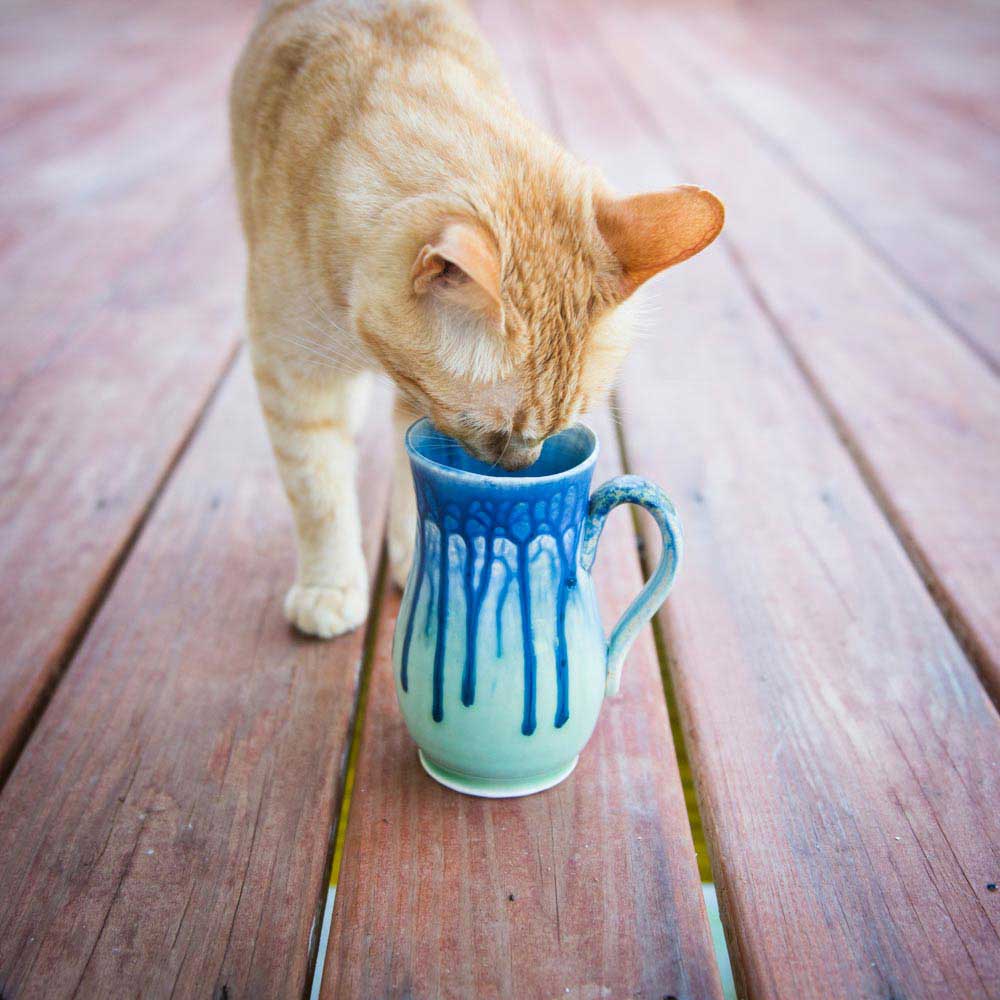 15 oz. Curved Ceramic Mug