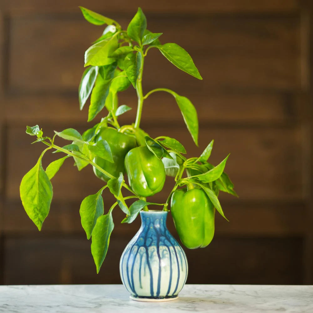 Round Ceramic Bud Vase