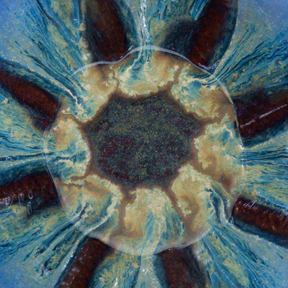 Large 1 gal. Flower Shaped Ceramic Bowl