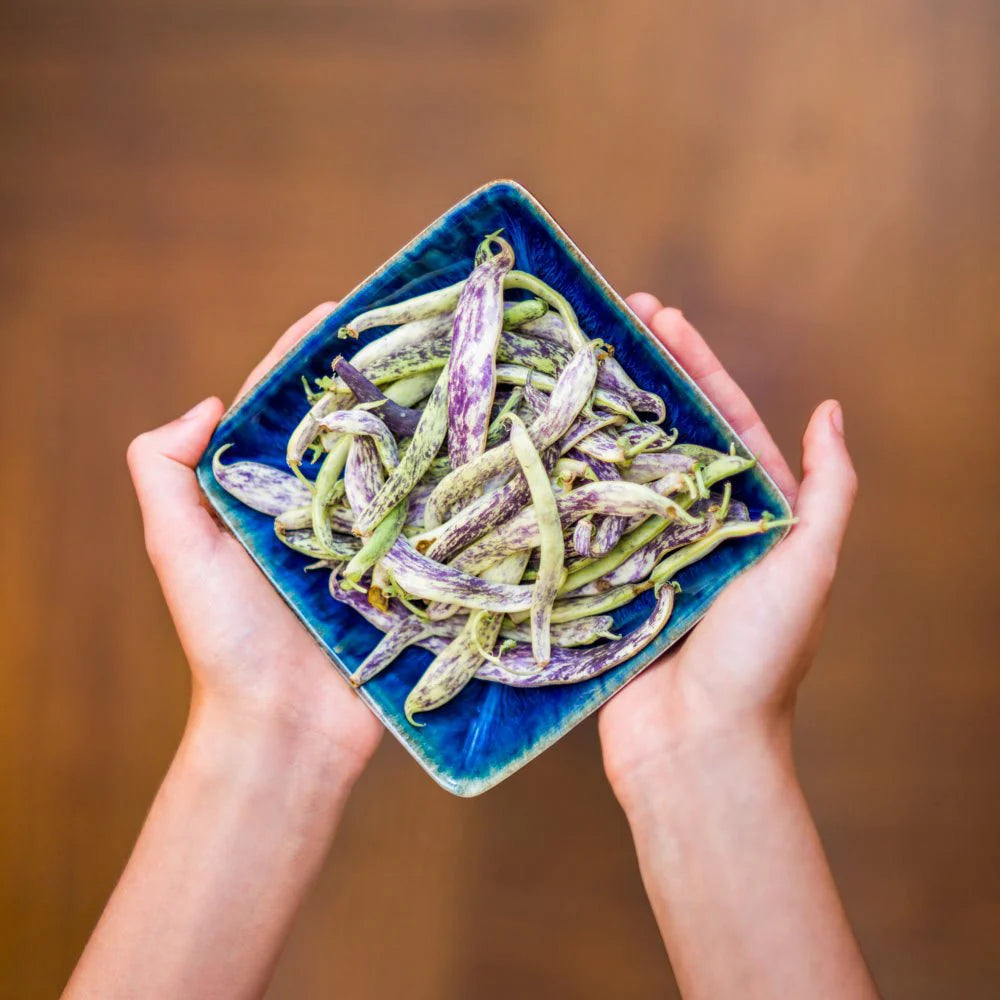 Small Ceramic Square Plate